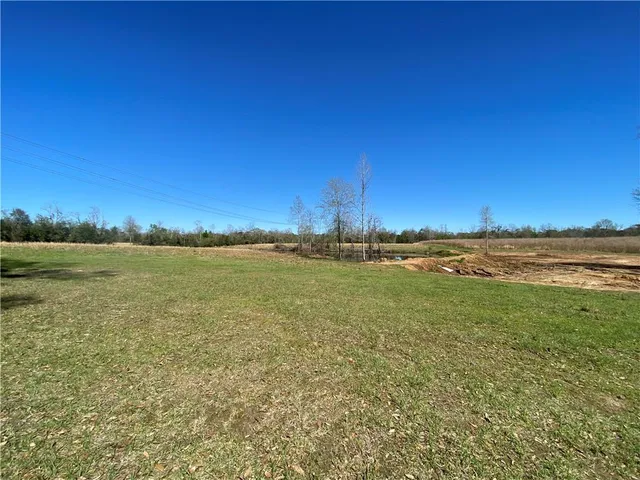 $94,500 | Tbd Ruth Holton Road, Amite, LA 70422