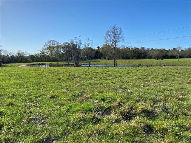 Tbd Ruth Holton Road Amite, LA 70422 - Photo 8 of 34