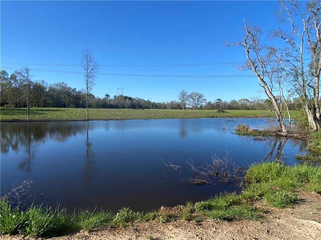 Tbd Ruth Holton Road Amite, LA 70422 - Photo 9 of 34