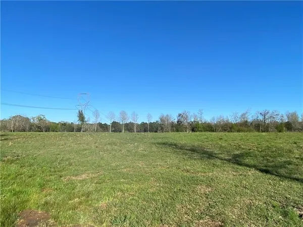 $89,000 | Tbd Ruth Holton Road, Amite, LA 70422