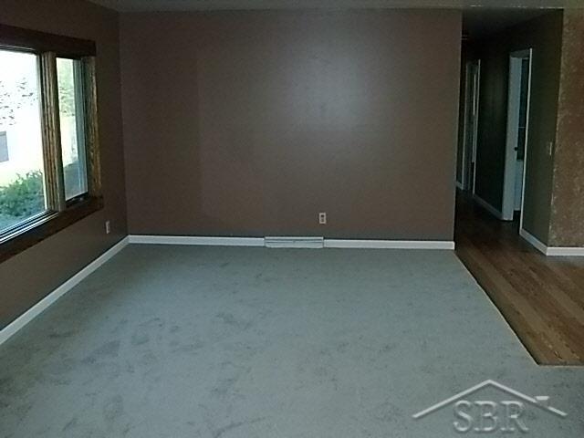12685 Baldwin Road Chesaning, MI 48616 - Photo 6 of 11 20091700-5.JPG