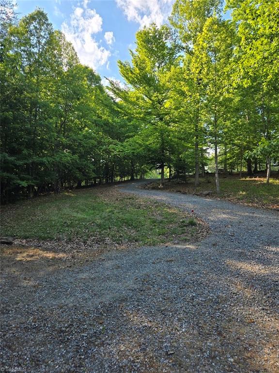 1984 Horseshoe Road Westfield, NC 27053 - Photo 18 of 47