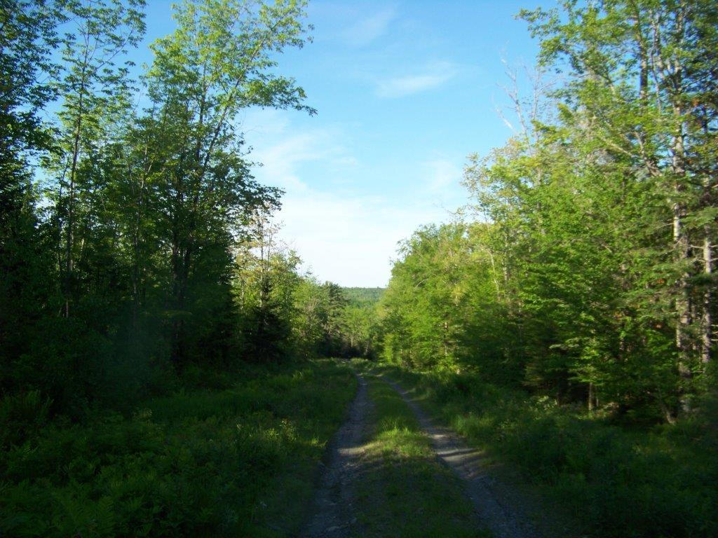 0 Tenny Hill Road Monson, ME 04464 - Photo 8 of 11 Photo