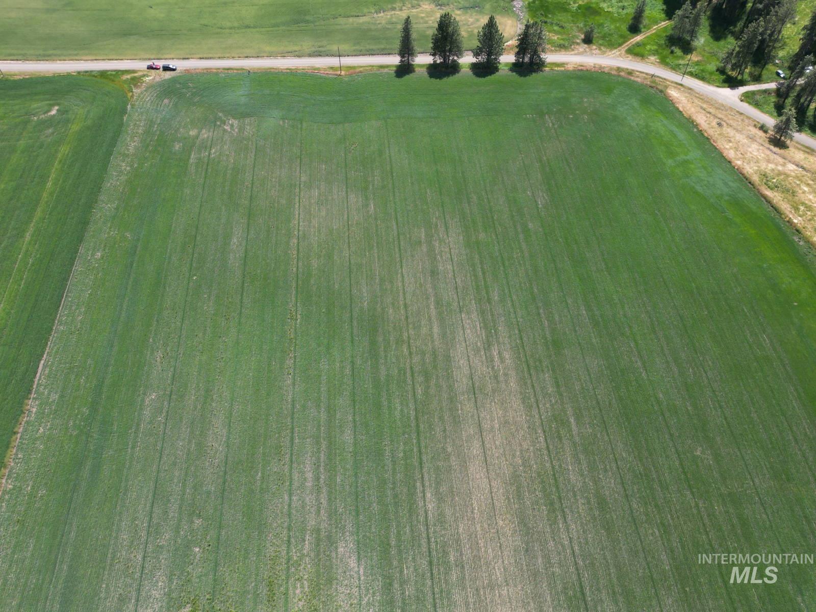 Lot 2 Herrick Road Craigmont, ID 83523 - Photo 4 of 7