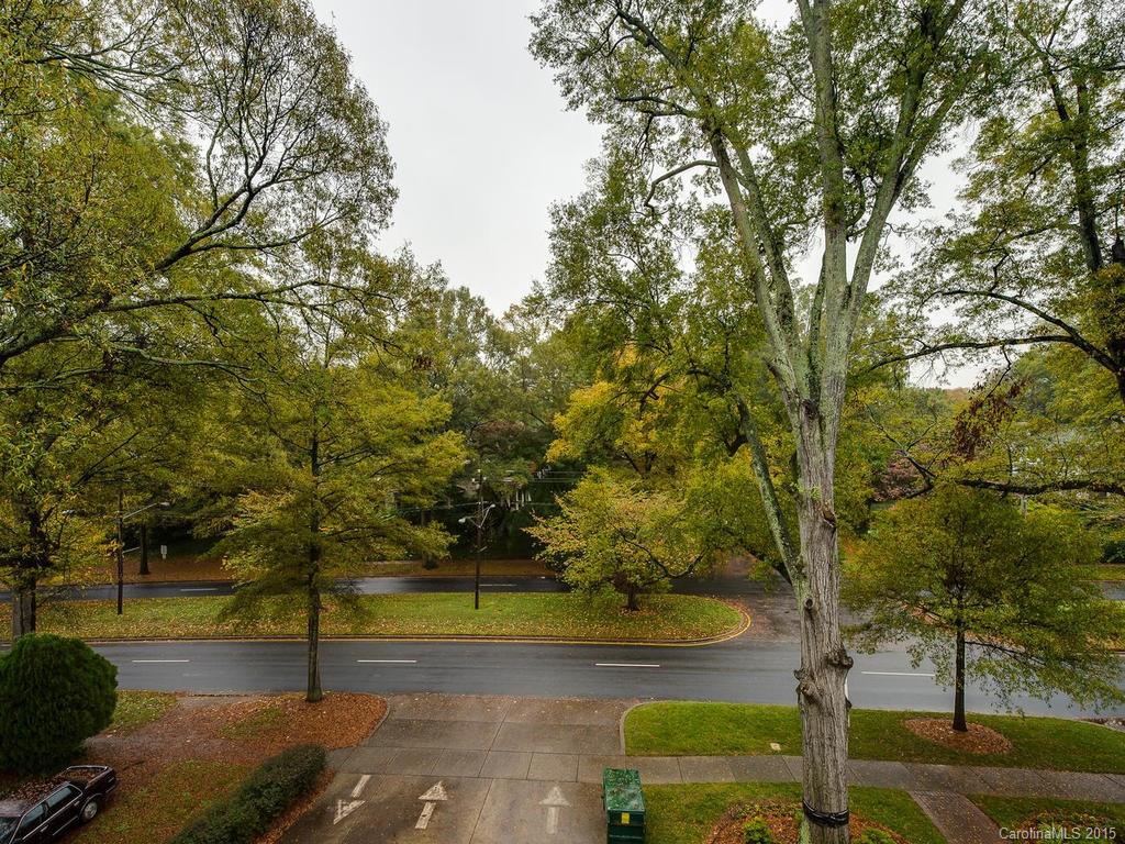 626 Queens Road, Unit 304 Charlotte, NC 28207 - Photo 17 of 24 a view of a yard with an tree