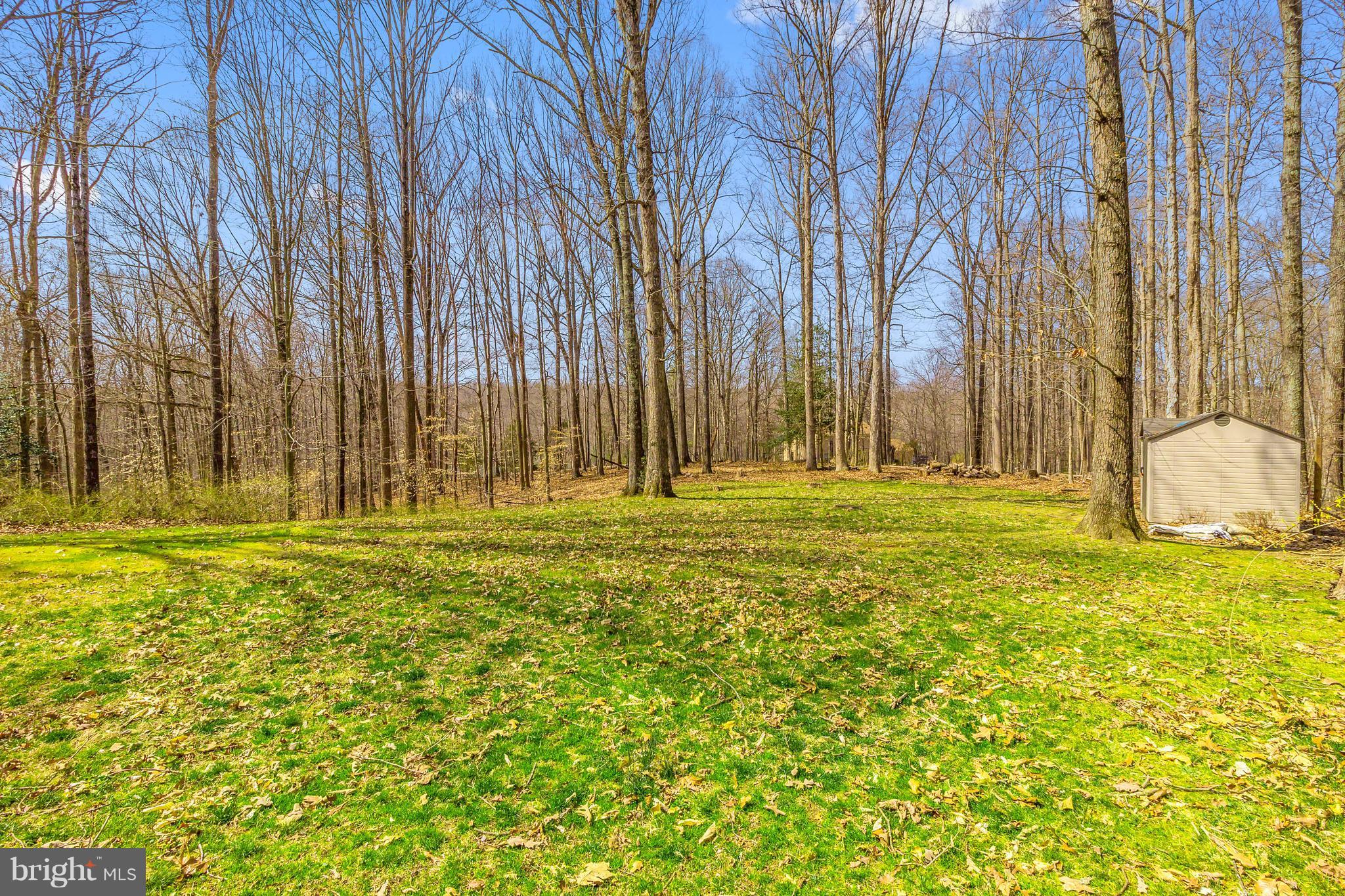 8040 Stillbrooke Road Manassas, VA 20112 - Photo 29 of 29 Large Fenced Backyard with Shed