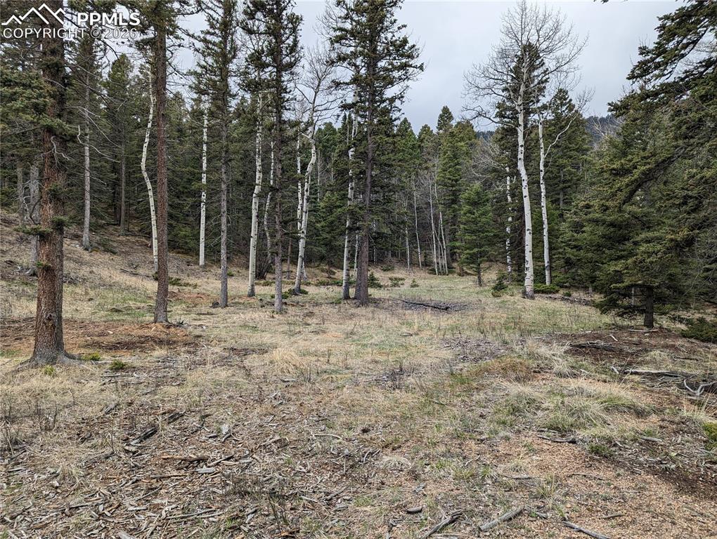 146 Waterfall Loop Manitou Springs, CO 80829 - Photo 2 of 6