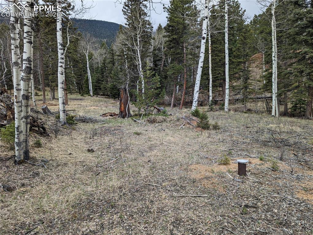 146 Waterfall Loop Manitou Springs, CO 80829 - Photo 4 of 6