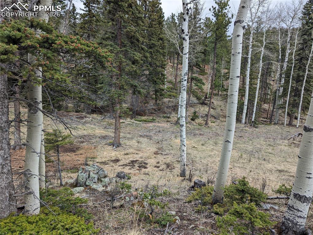 146 Waterfall Loop Manitou Springs, CO 80829 - Photo 5 of 6