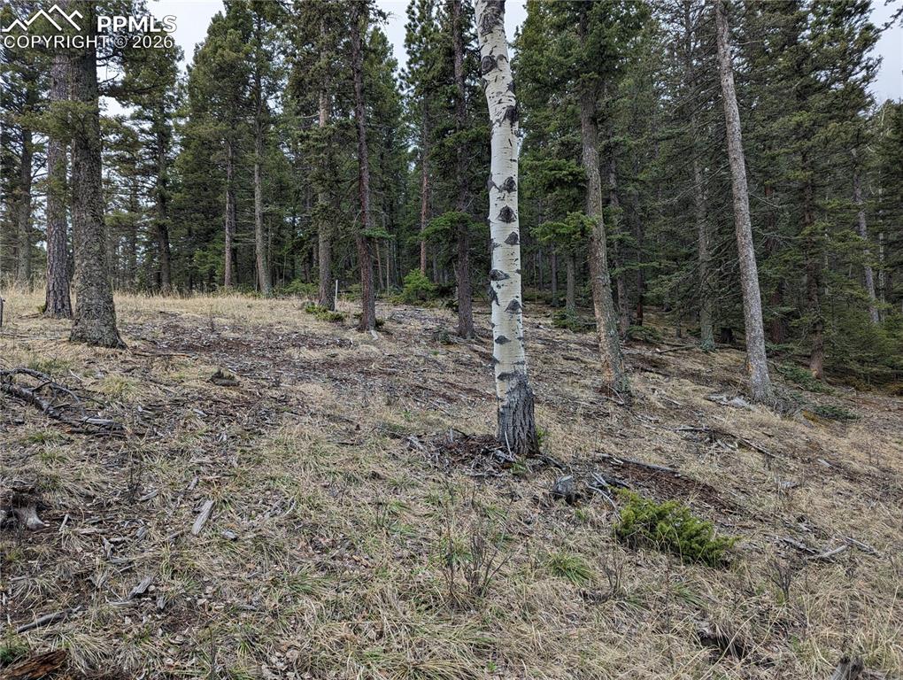 146 Waterfall Loop Manitou Springs, CO 80829 - Photo 6 of 6