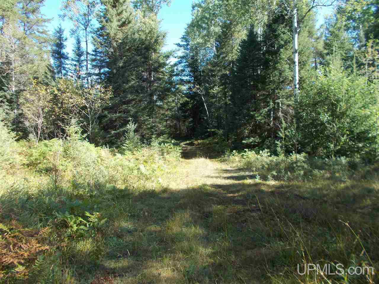 80-acres Co Rd Ffw Republic, MI 49879 - Photo 14 of 21