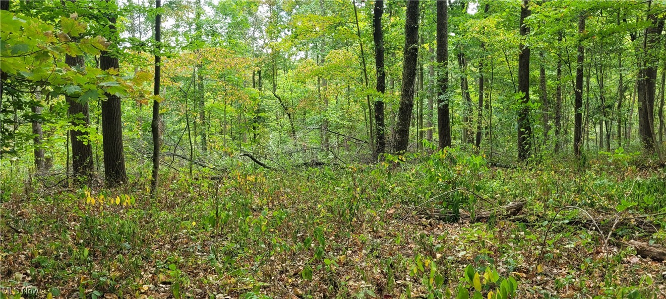 343 County Road Coshocton, OH 43812 - Photo 27 of 49 Gallery Image 27