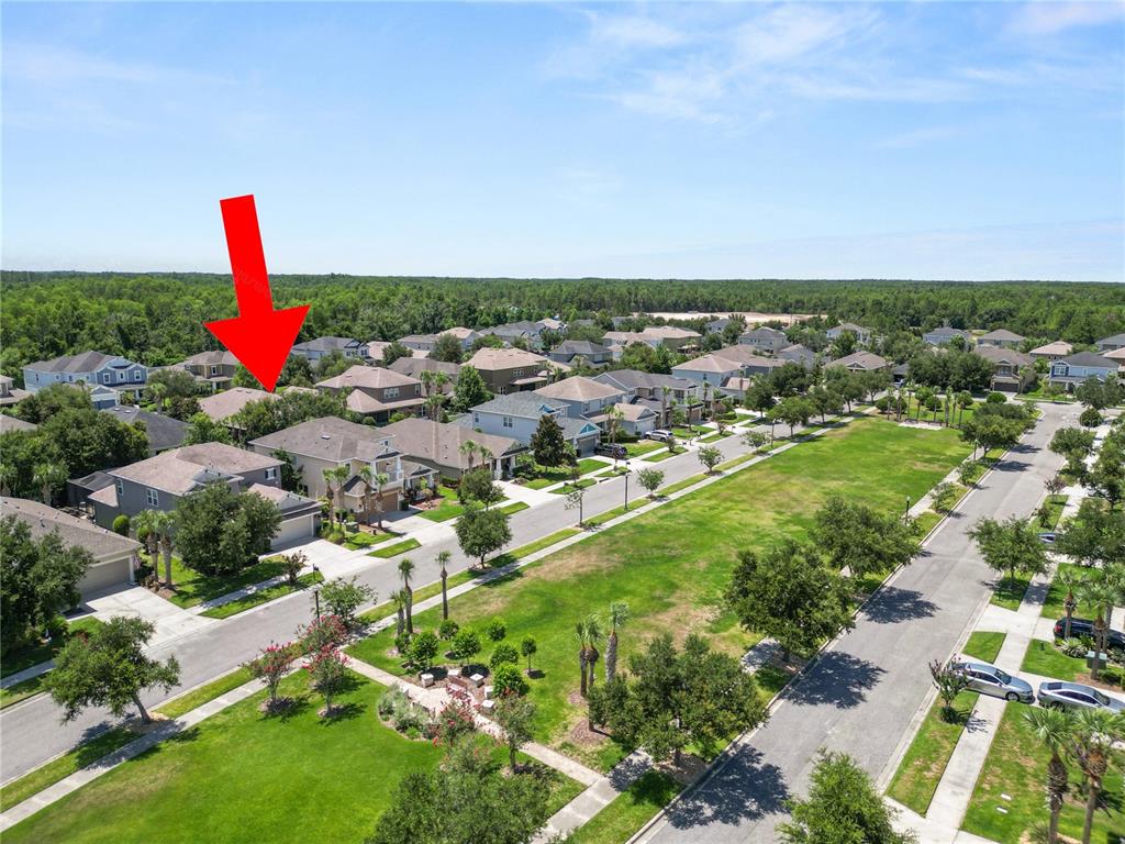 8775 Sentiero Drive Land O Lakes, FL 34637 - Photo 5 of 76