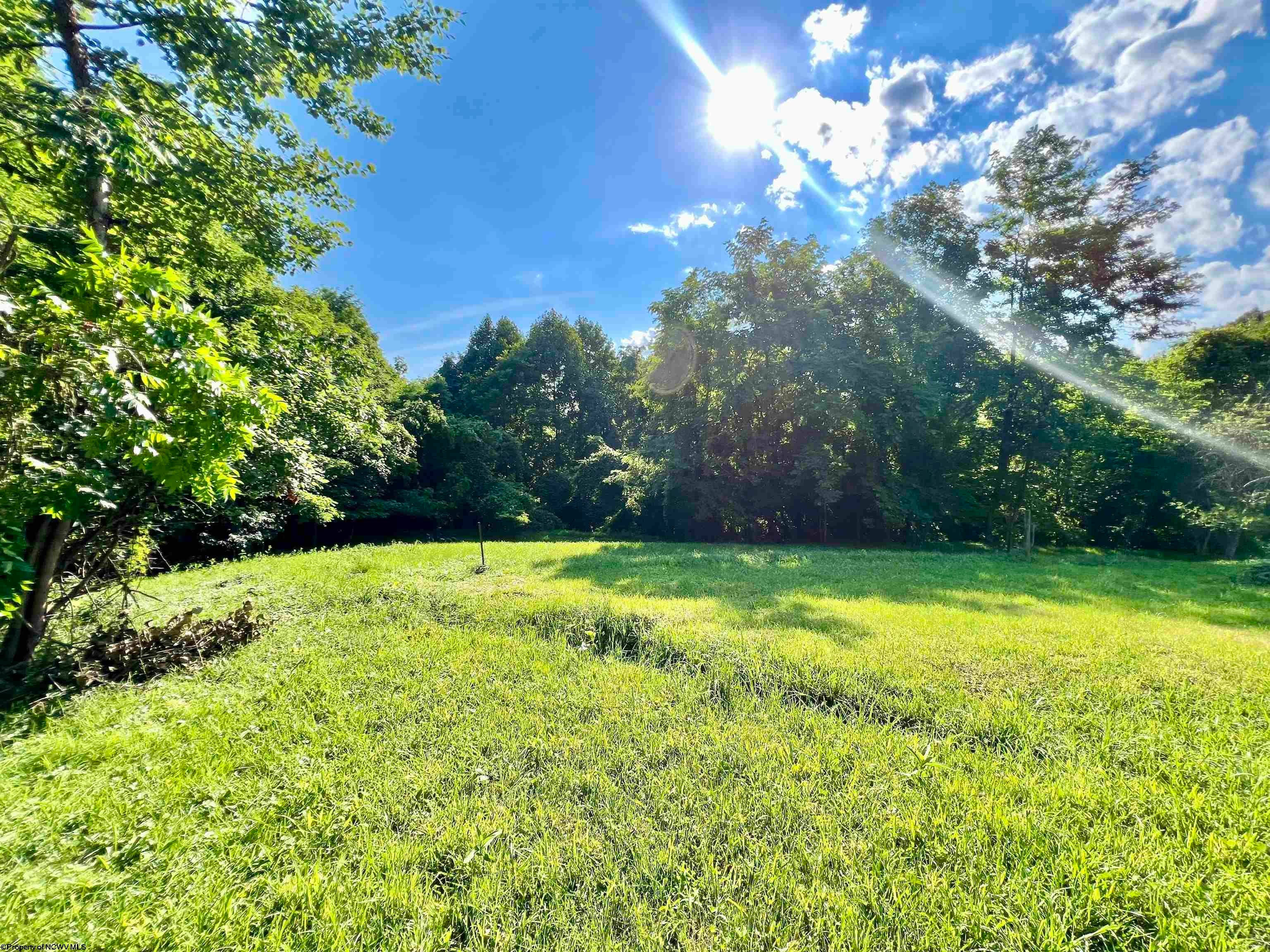 1945 Wilson Ridge Road Duck, WV 25063 - Photo 14 of 26 Gallery Image 14