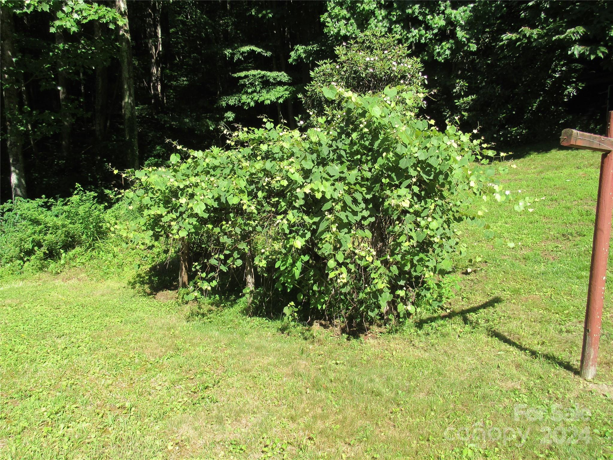 664 Woodfin Road Sylva, NC 28779 - Photo 16 of 34 a view of a garden