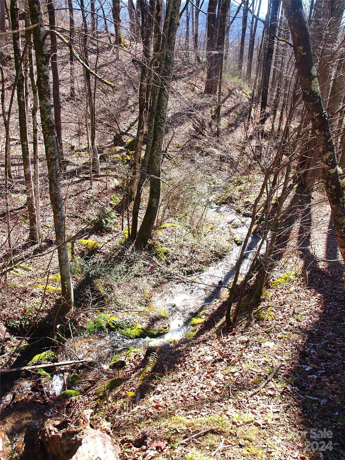 664 Woodfin Road Sylva, NC 28779 - Photo 27 of 34