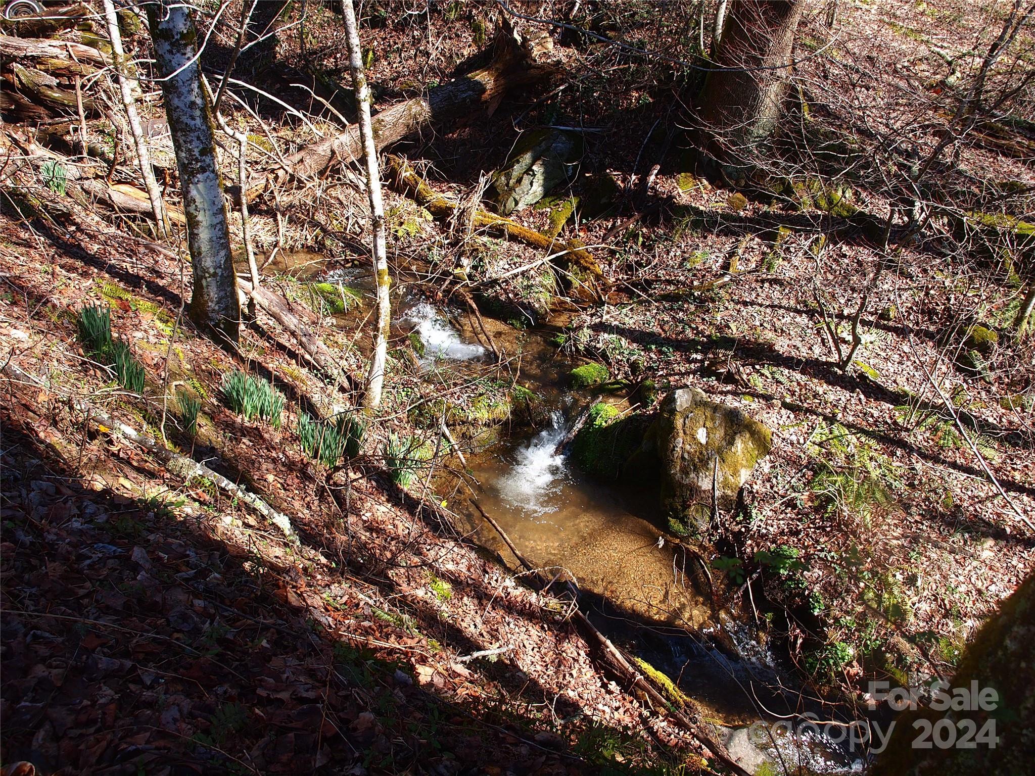 664 Woodfin Road Sylva, NC 28779 - Photo 31 of 34 a view of water from a building