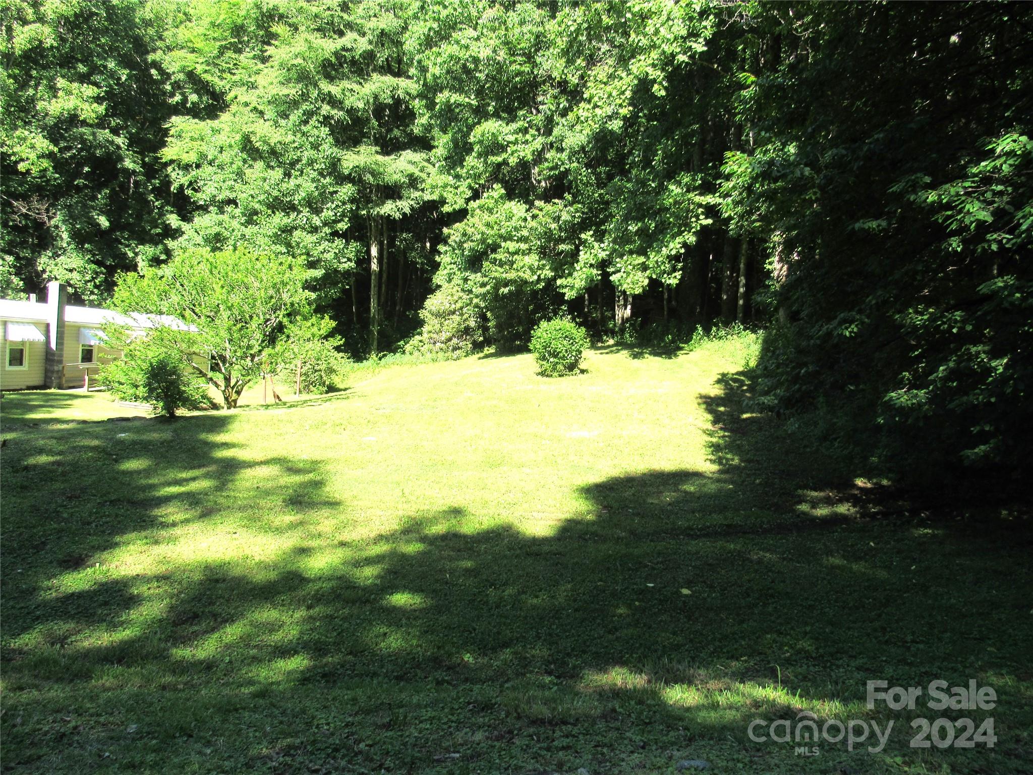 664 Woodfin Road Sylva, NC 28779 - Photo 5 of 34 a view of yard with green space