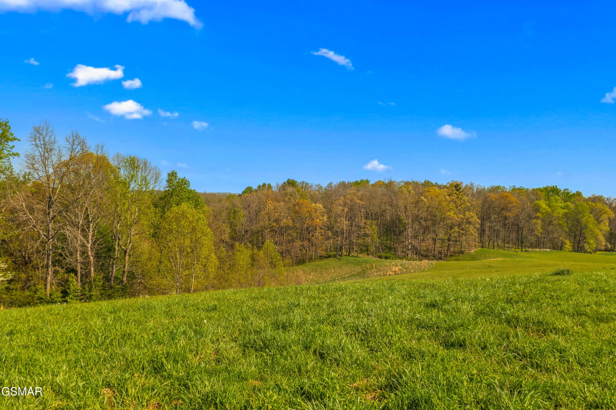 11 Jones Bridge Road Greeneville, TN 37743 - Photo 7 of 16