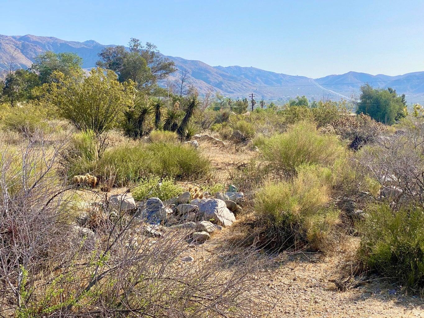 135 Bardell Road Morongo Valley, CA 92256 - Photo 11 of 29 a view of a forest with mountains in the background