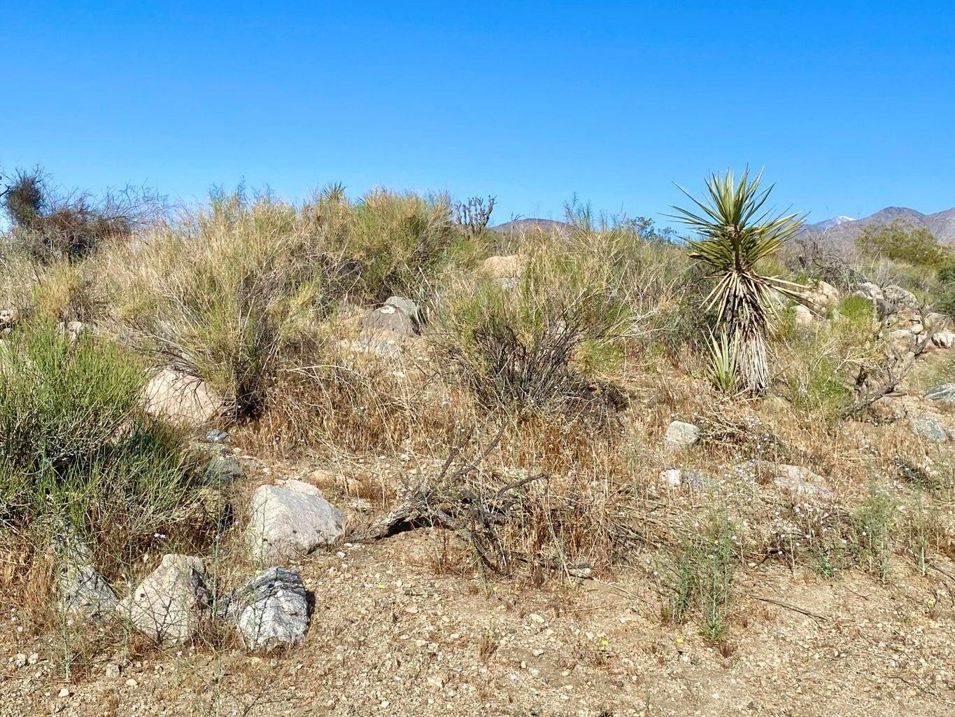 135 Bardell Road Morongo Valley, CA 92256 - Photo 12 of 29 a view of a city