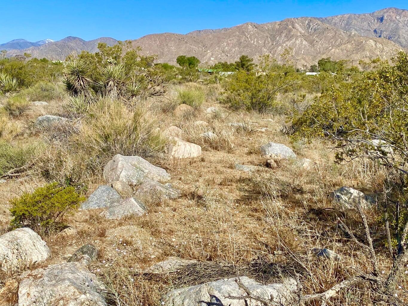 135 Bardell Road Morongo Valley, CA 92256 - Photo 17 of 29 a view of a mountain