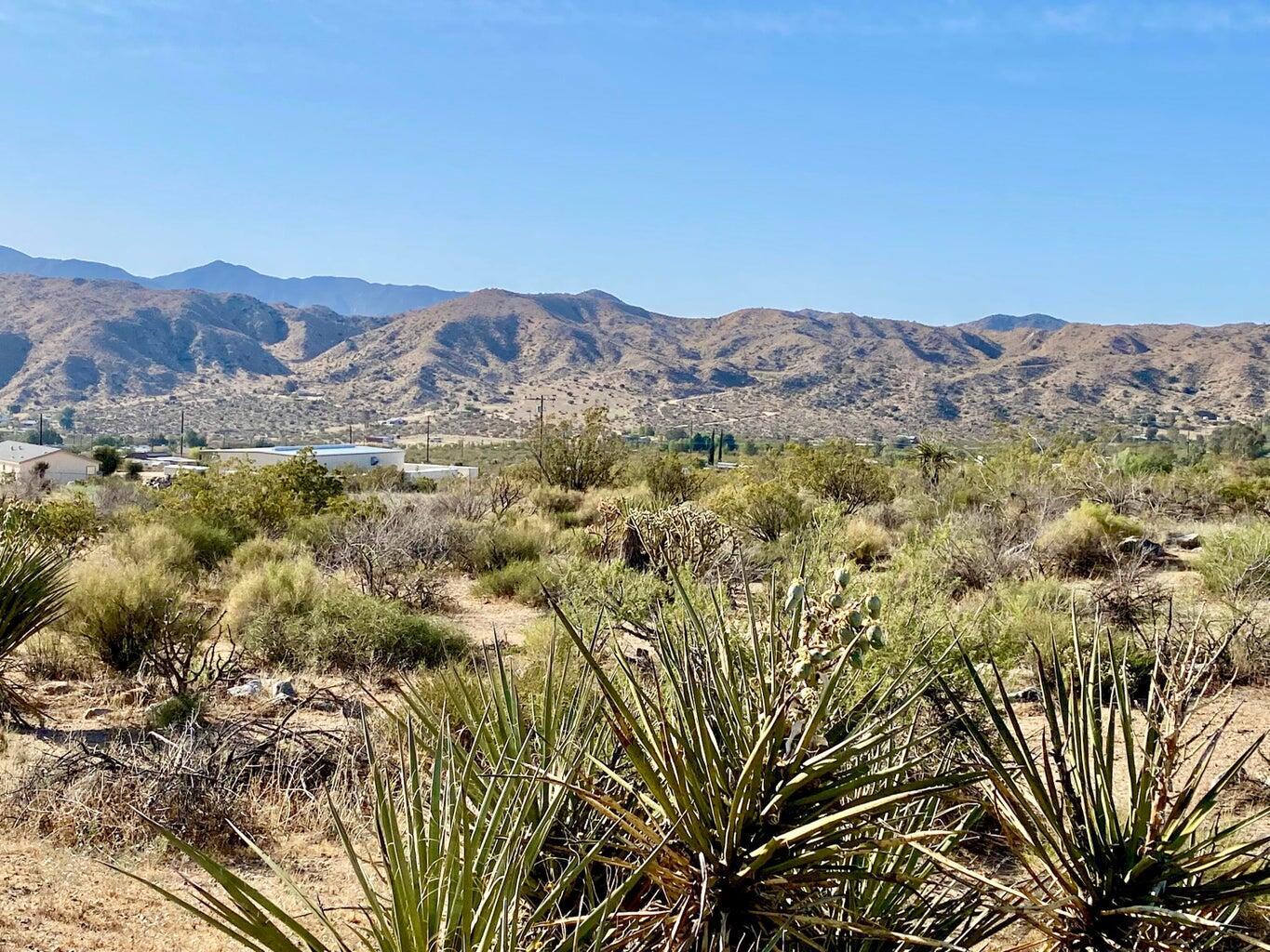 135 Bardell Road Morongo Valley, CA 92256 - Photo 18 of 29 a view of a forest with mountains in the background