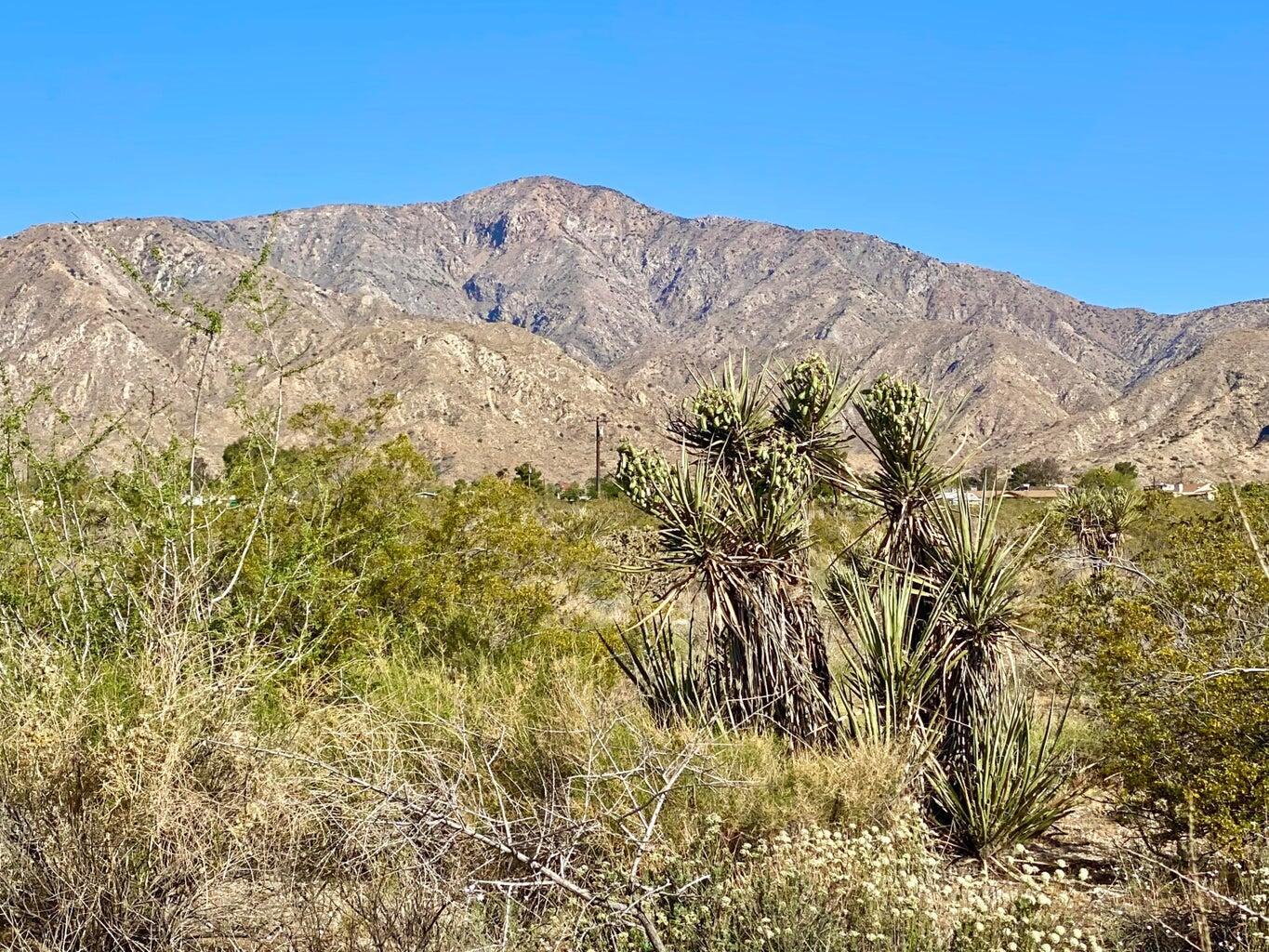 135 Bardell Road Morongo Valley, CA 92256 - Photo 24 of 29 a view of a snow on a mountain