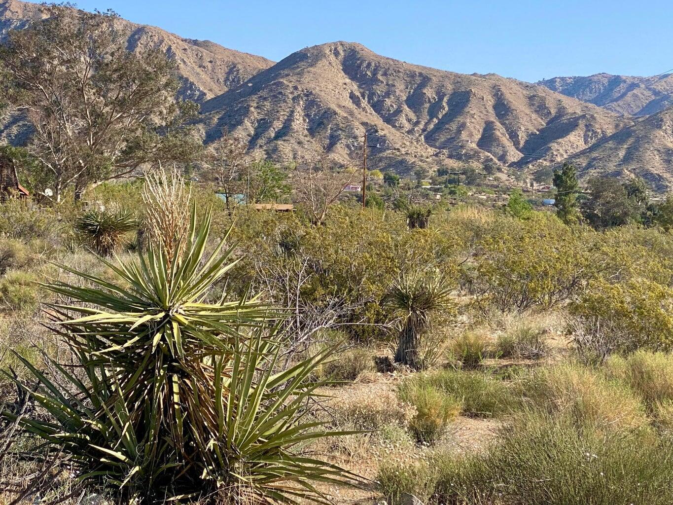 135 Bardell Road Morongo Valley, CA 92256 - Photo 25 of 29 a view of a backyard