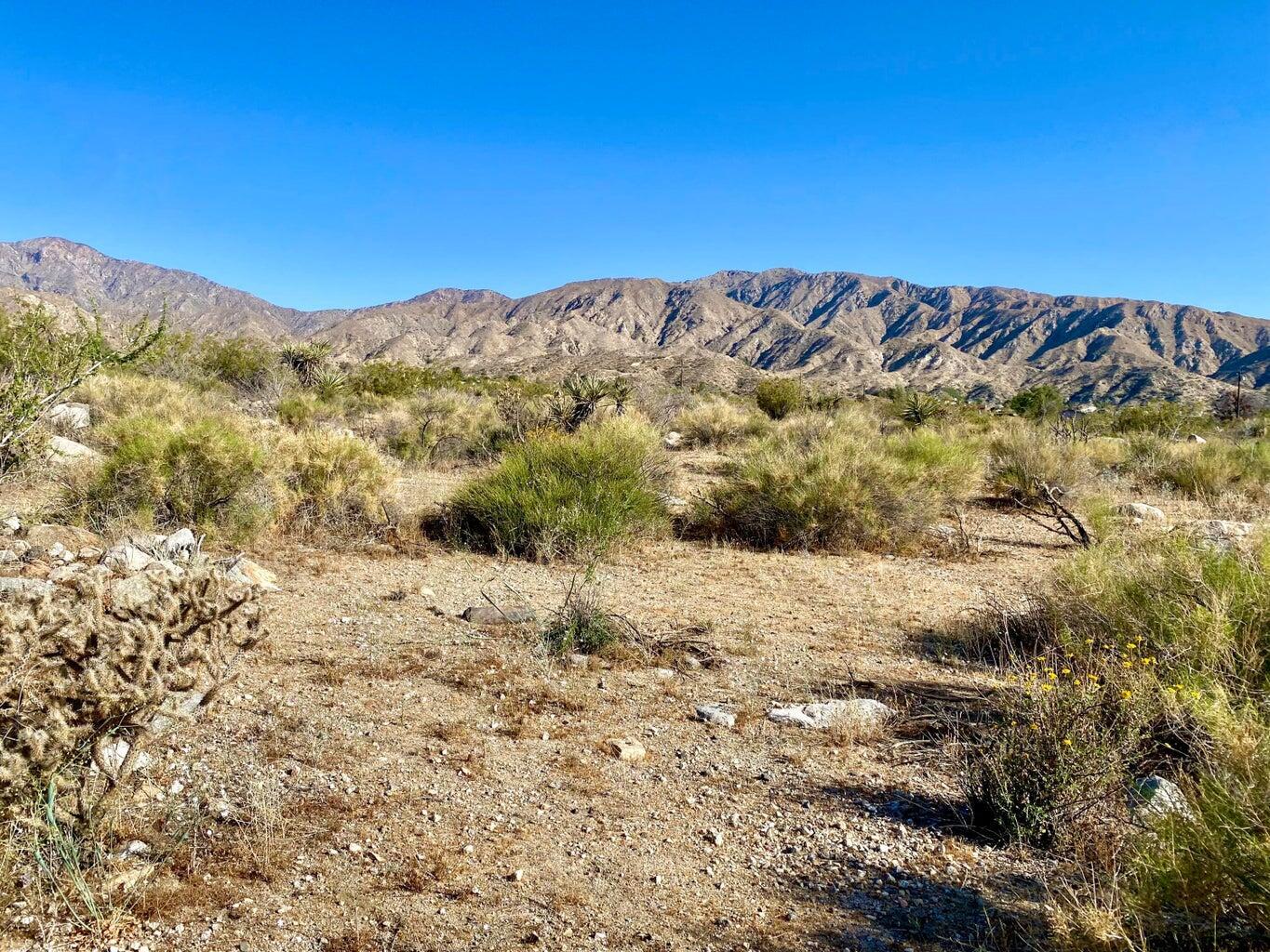 135 Bardell Road Morongo Valley, CA 92256 - Photo 6 of 29 a view of mountain view with mountains in the background