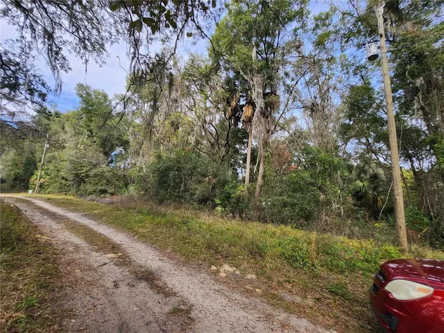 a view of a yard with a tree