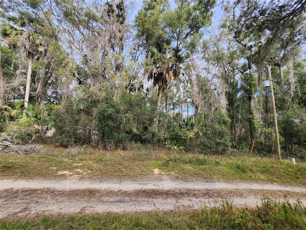 Tbd Northeast 164th Place Citra, FL 32113 - Photo 3 of 6 a view of a yard with a tree