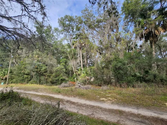 a view of a yard with a tree