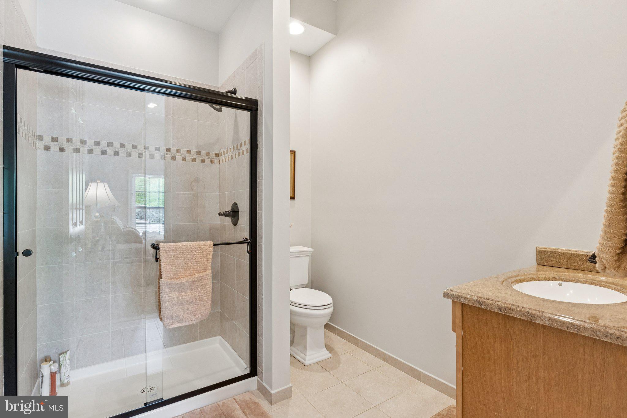 1932 Carrollton Road Annapolis, MD 21409 - Photo 52 of 85 a bathroom with a granite countertop shower a toilet and a sink
