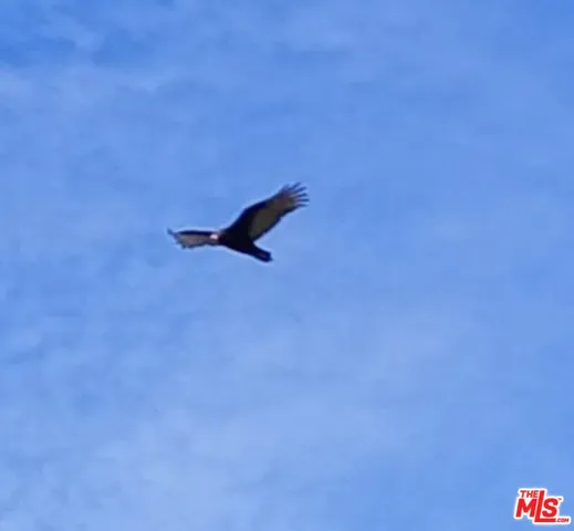 a view of a garden with a lake view