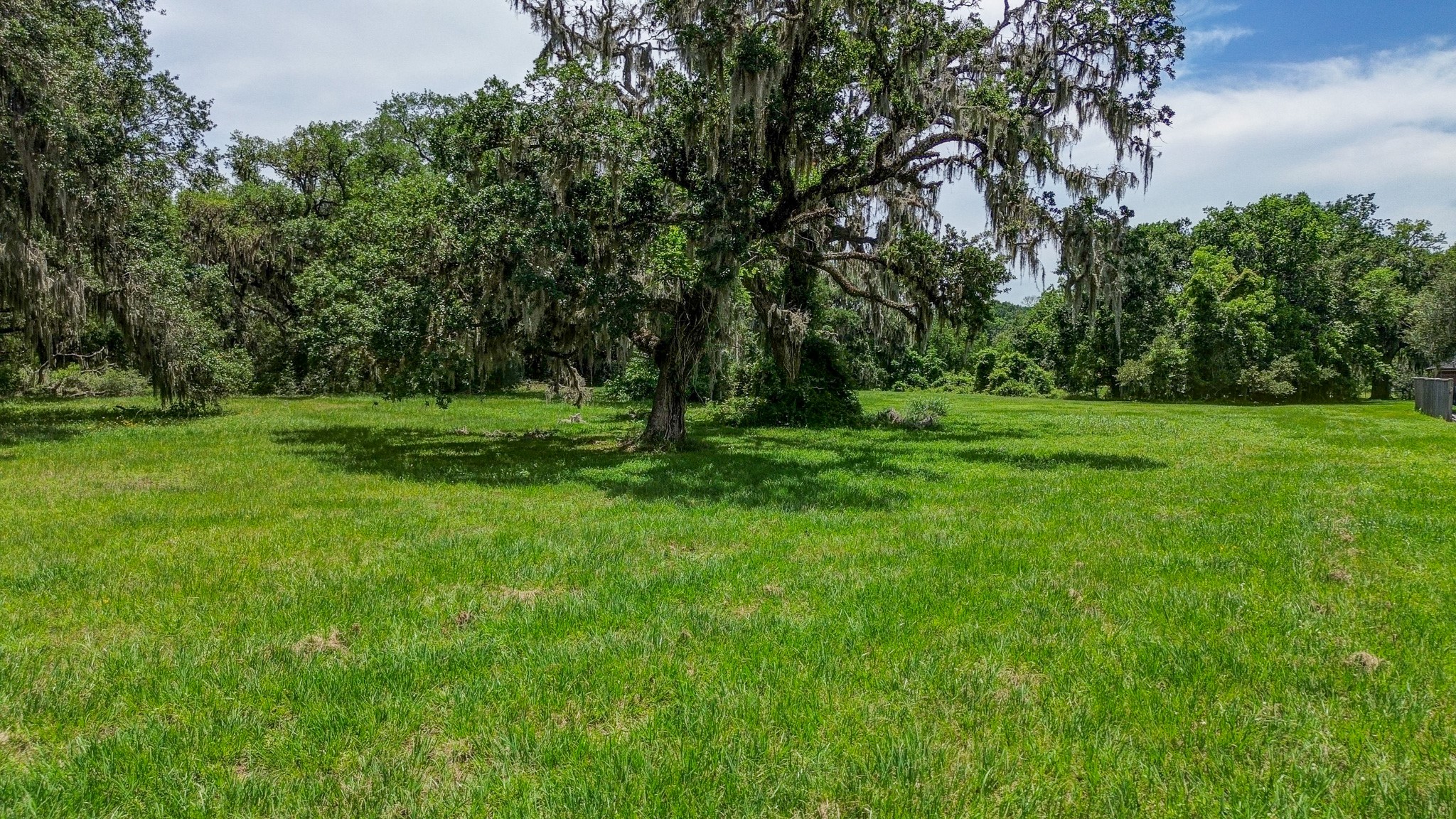 1249 Angus Court Angleton, TX 77515 - Photo 8 of 15