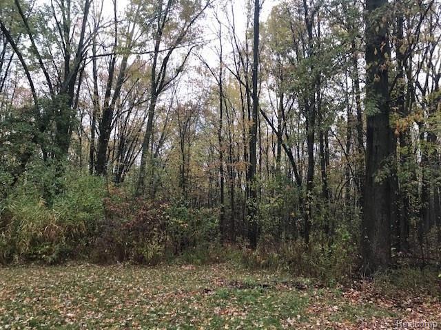 22186 Clark Road Belleville, MI 48111 - Photo 4 of 31