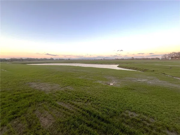 a view of an ocean from a yard