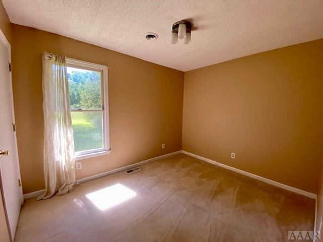 237 Hoggard Mill Road Windsor, NC 27983 - Photo 16 of 40 Gallery Image 16