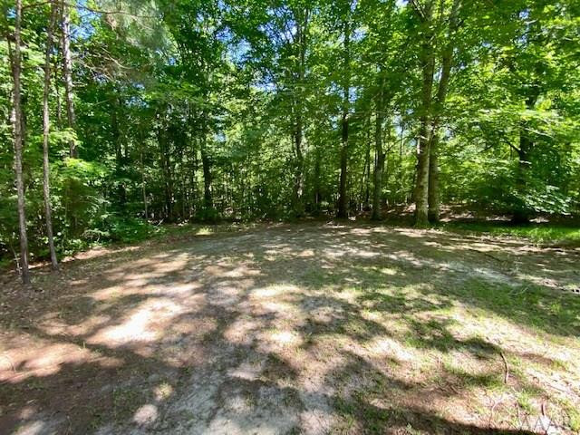 237 Hoggard Mill Road Windsor, NC 27983 - Photo 36 of 40 Gallery Image 36