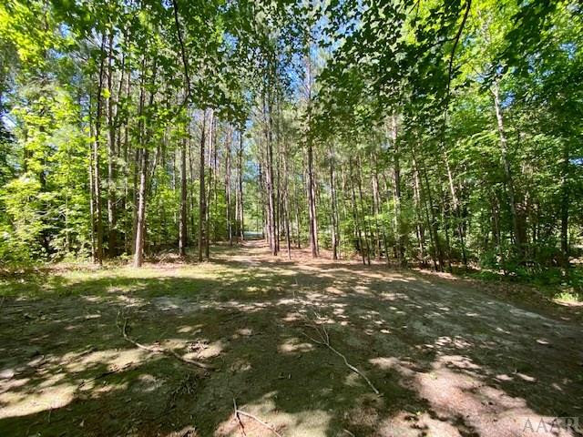 237 Hoggard Mill Road Windsor, NC 27983 - Photo 37 of 40 Gallery Image 37
