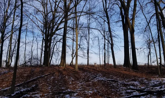 $154,500 | 856 Greystone Drive, Chelsea, MI 48118