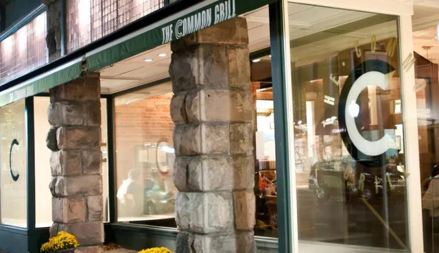 $154,500 | 856 Greystone Drive, Chelsea, MI 48118