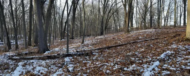 $154,500 | 856 Greystone Drive, Chelsea, MI 48118