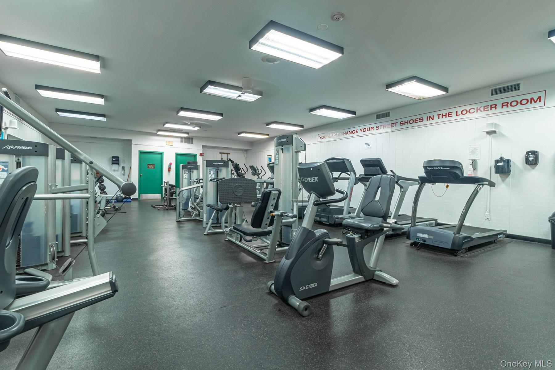 87 Birchwood Road Medford, NY 11763 - Photo 18 of 21 View of gym