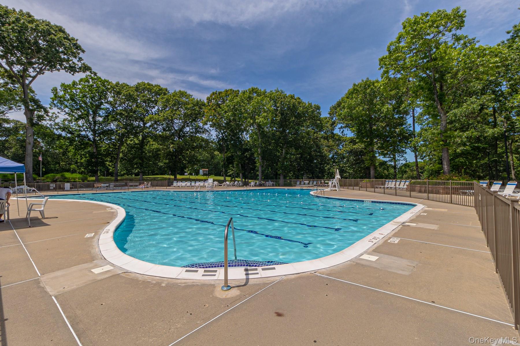 87 Birchwood Road Medford, NY 11763 - Photo 19 of 21 Community pool with a patio