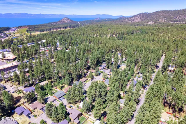 a picture of city view with lots of trees