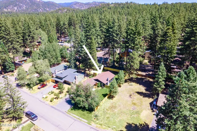 a view of a house with a yard plants and large tree