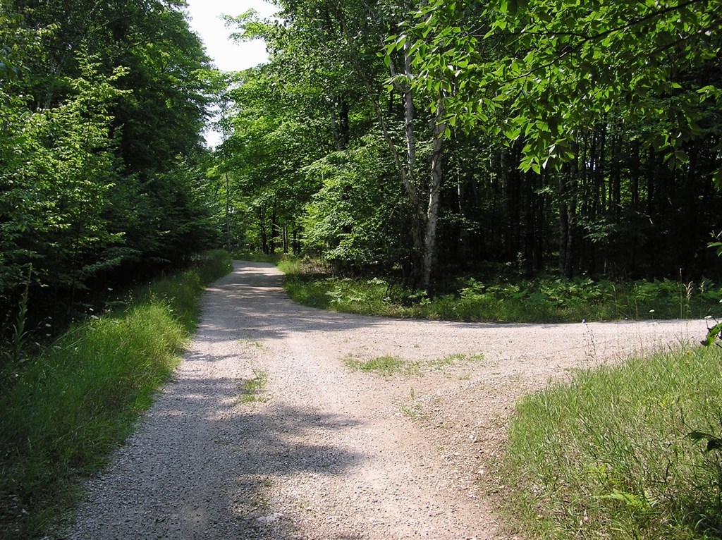 Tbd Green Tree Road Washington Island, WI 54246 - Photo 2 of 6
