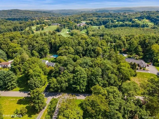 a view of a lush green forest with trees and some houses